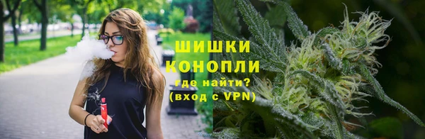 индика Беломорск