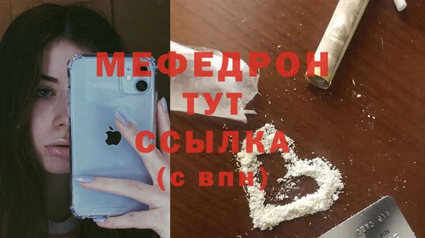 индика Беломорск