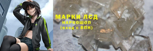 индика Беломорск