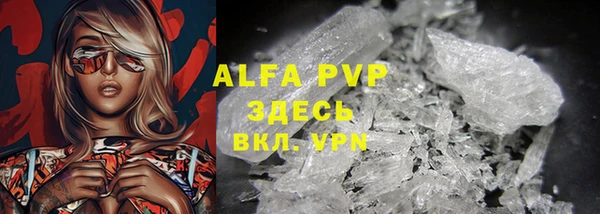 индика Беломорск