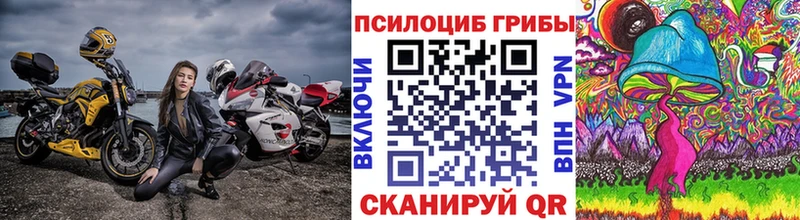 Псилоцибиновые грибы MAGIC MUSHROOMS  Верхотурье 